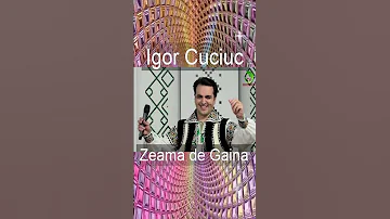 Igor Cuciuc - Zeama de Gaina ✅
