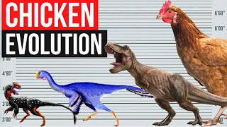 Chicken Evolution | By Years screenshot 4