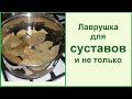 Лавровый лист - чистим и лечим суставы// Рецепты в описании