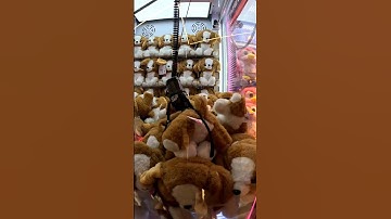 Win Or Not Win Cut Dog Timezone Arcade Game Rmall Thane #arcade #games #timezone #shorts #toys #claw