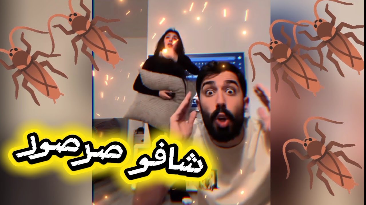 طارق مع ليلى شافو صرصور وخافت منه شوفو طارق شو عمل ب ليلى ومقابلتها