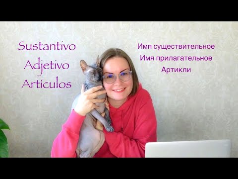 Испанский язык: артикли, имя существительное, прилагательное //Español A1