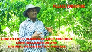 HOW TO FIGHT CLIMATE CHANGE THROUGH LAND RECLAMATION AND NATURAL REGENERATION PROCESS screenshot 5