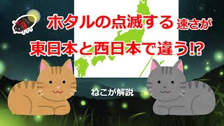 ホタルの点滅周期の東日本と西日本での違いを解説
