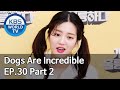 Dogs are incredible | 개는 훌륭하다 EP.30 Part 2 [SUB : ENG,CHN/2020.06.10]