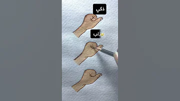 اي نوع انت بدون كذب قرآن كريم راحة نفسية 