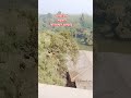 সাবস্ক্রাইব করে বন্ধু হয়ে যাবেন #fouryou #funny #edms #music #lovesong #anysong #awesomesong