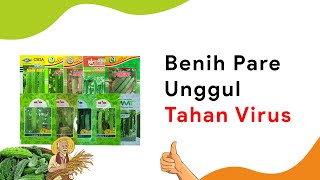 10 Benih Pare/Paria Dataran Rendah Musim Hujan Terbaik