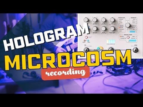 HOLOGRAM MICROCOSM Guitar Pedal - UNIQUE Track Building!