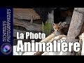 La Photo Animalière