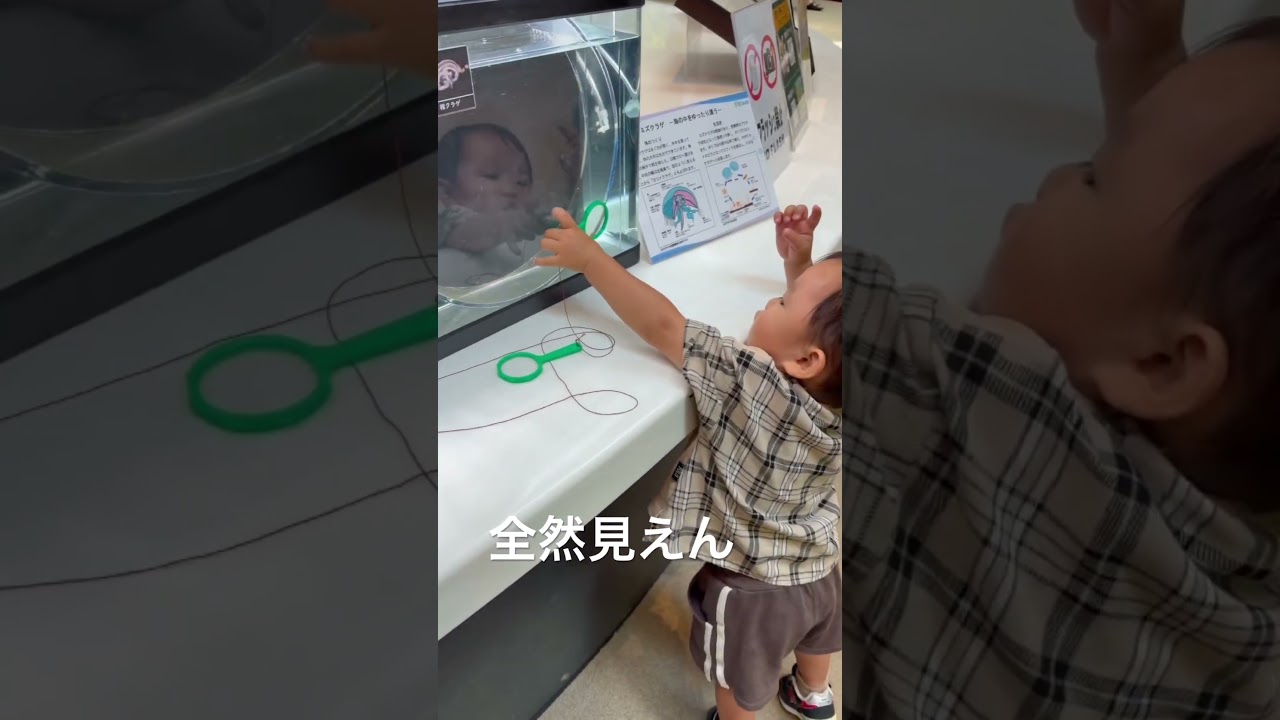 全然見えん