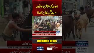 Lahore Flood Update: Nallah Bheed Embankment Collapses, Villages Under Water