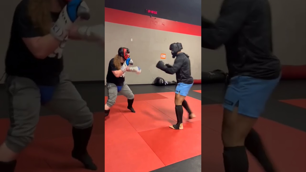 Backyard Brawlerz vol. 1