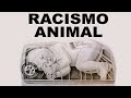 RACISMO ANIMAL NORMALIZADO EN LA SOCIEDAD ACTUAL - ESPECISMO -