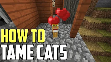 Co jedí kočky z Minecraftu?