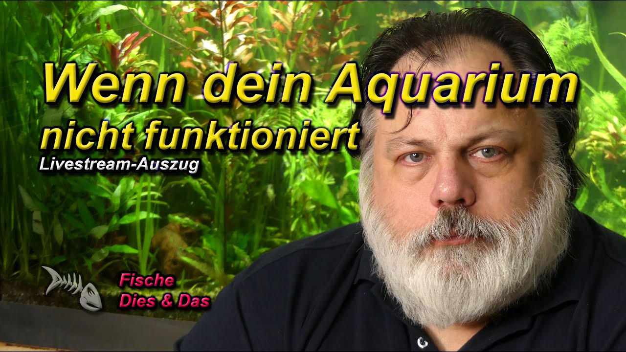 HILFE, MEIN AQUARIUM FUNKTIONIERT NICHT