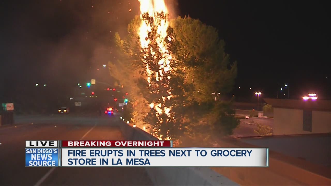 Tree fires force evacuation at La Mesa Albertsons