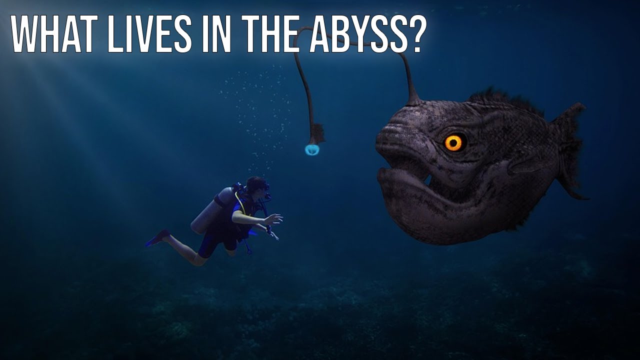 What Lives in the Abyss? (Terrifying Deep Sea Secrets)
