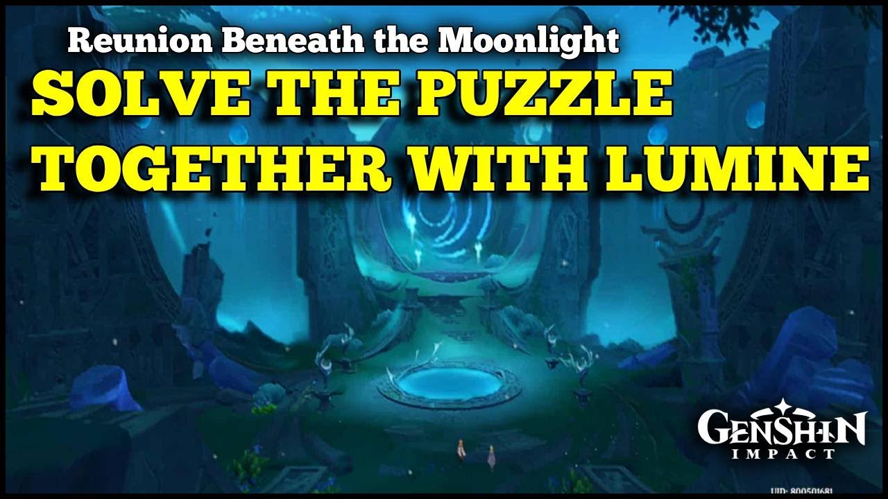 Solve the puzzle together with Lumine Genshin Impact