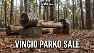 Gintauto Sporto Aikštelė Vingio Parke