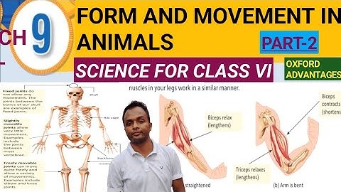 Form and Movement In Animals |Science||Part-2|Class-VI |Chapter-9|Oxford |Study In Depth |In Hindi|