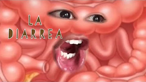 ¿Qué le ocurre a tu cuerpo cuando tienes diarrea?