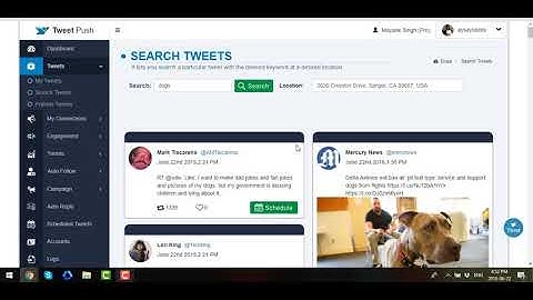 Tweetpush Tweets Section