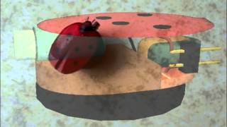 LadyBug Bot