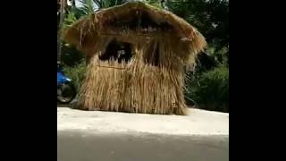 Kreasi Vespa Unik Bentuk Gubuk Gokil Abisss