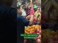 Mengikat blimbing