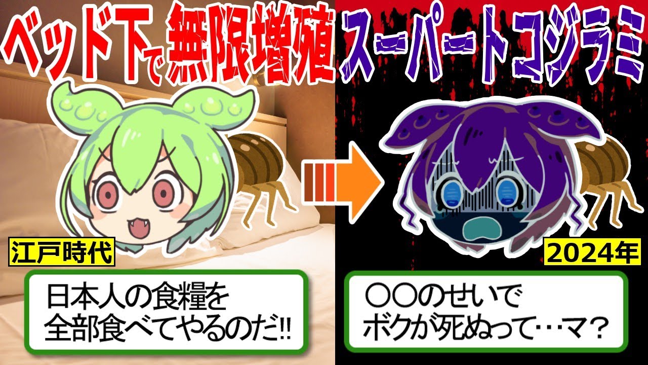 日本にも出現！ベッドの裏で無限増殖する吸血害虫の末路…【ずんだもん ゆっくり解説　スーパートコジラミ】