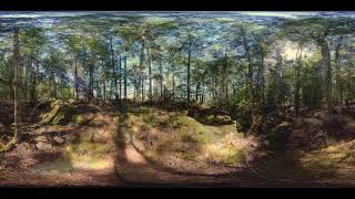 Shoreland Drive Waterfront Property for Sale - Lopez Island WA