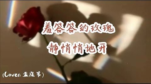 杨胖雨 - 羞答答的玫瑰静悄悄地开（Cover：孟庭苇）【我在暗暗惆怅竟不曾将她轻轻地摘 】 翻唱新宠新歌曲！~動態歌詞Lyrics~