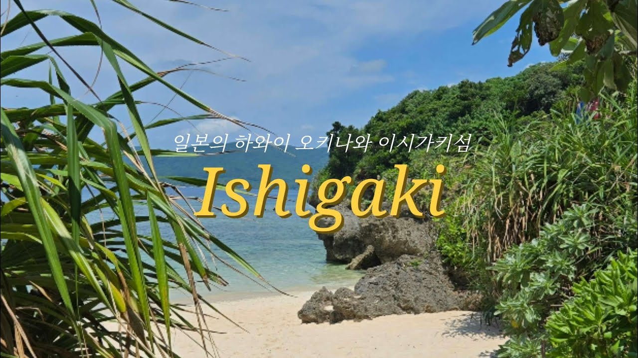 천국이야 뭐야? 5월 오키나와 이시가키 섬 🐠