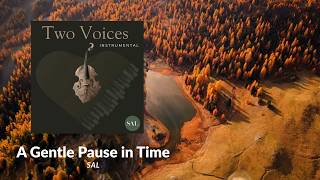 A Gentle Pause in Time instrumental by SAL