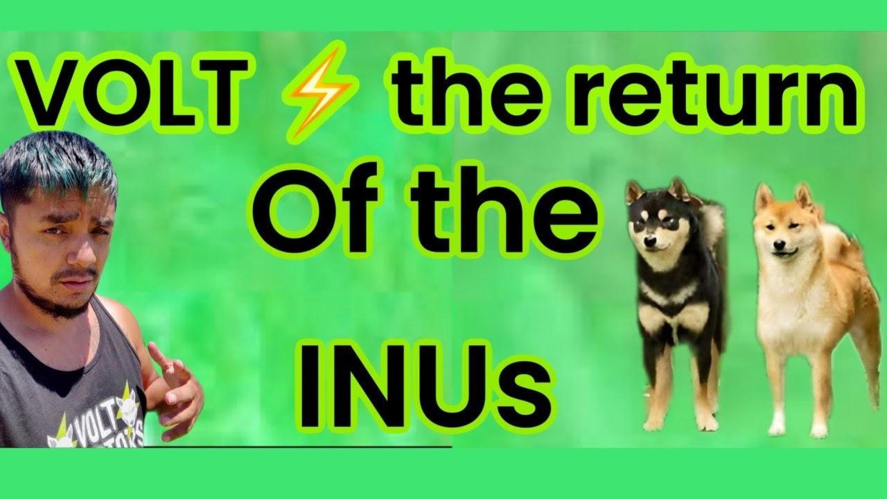 Volt inu : VOLTARMY will never quit so load up #voltinu #crypto #meme ...