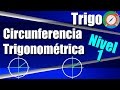 Circunferencia Trigonométrica - Ejercicios Resueltos - Nivel 1