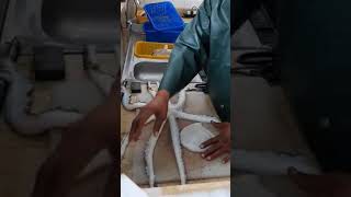 طريقة تنظيف القرنيط