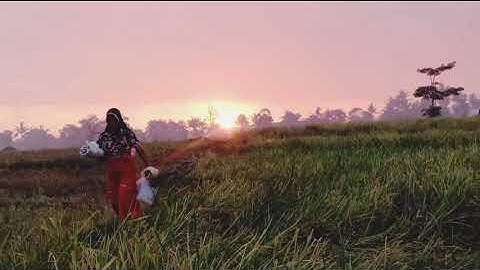 kami anak petani