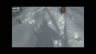 Mark Twain Mapleworks ski by Jack Drury 14 views 2 years ago 3 minutes, 36 seconds