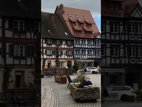 The Black Forest, Baden-Württemberg | Germany | travel video