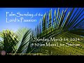 Mass palm sunday of the lords passion march 24 2024