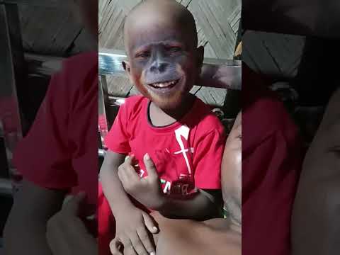 Monkeys Spinning Monkeys Trendingshorts Funny Shorts Comedy