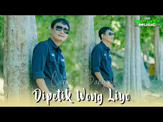 Candra Banyu - Dipetik Wong Liyo (Official Music Video Thalita Music) class=