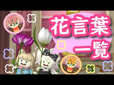 ドラクエ10 メッセージを込めた花束をプレゼントしたい 花言葉を一気見せ Dqx Youtube ドラクエ10 メッセージを込めた花束をプレゼントしたい 花言葉を一気見せ Dqx Youtube