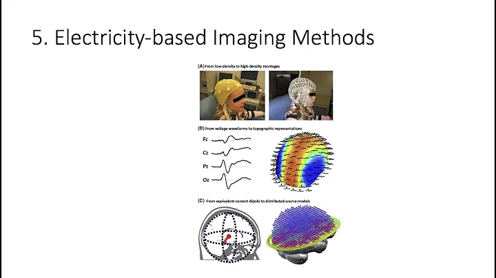 3.5. Electricity-based Brain Imaging, Fundamentals of Cognitive Neuroscience Course, Session 3, P 5