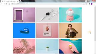 How To Make Image Gallery Using HTML, CSS  | Create Image Gallery Step by Step