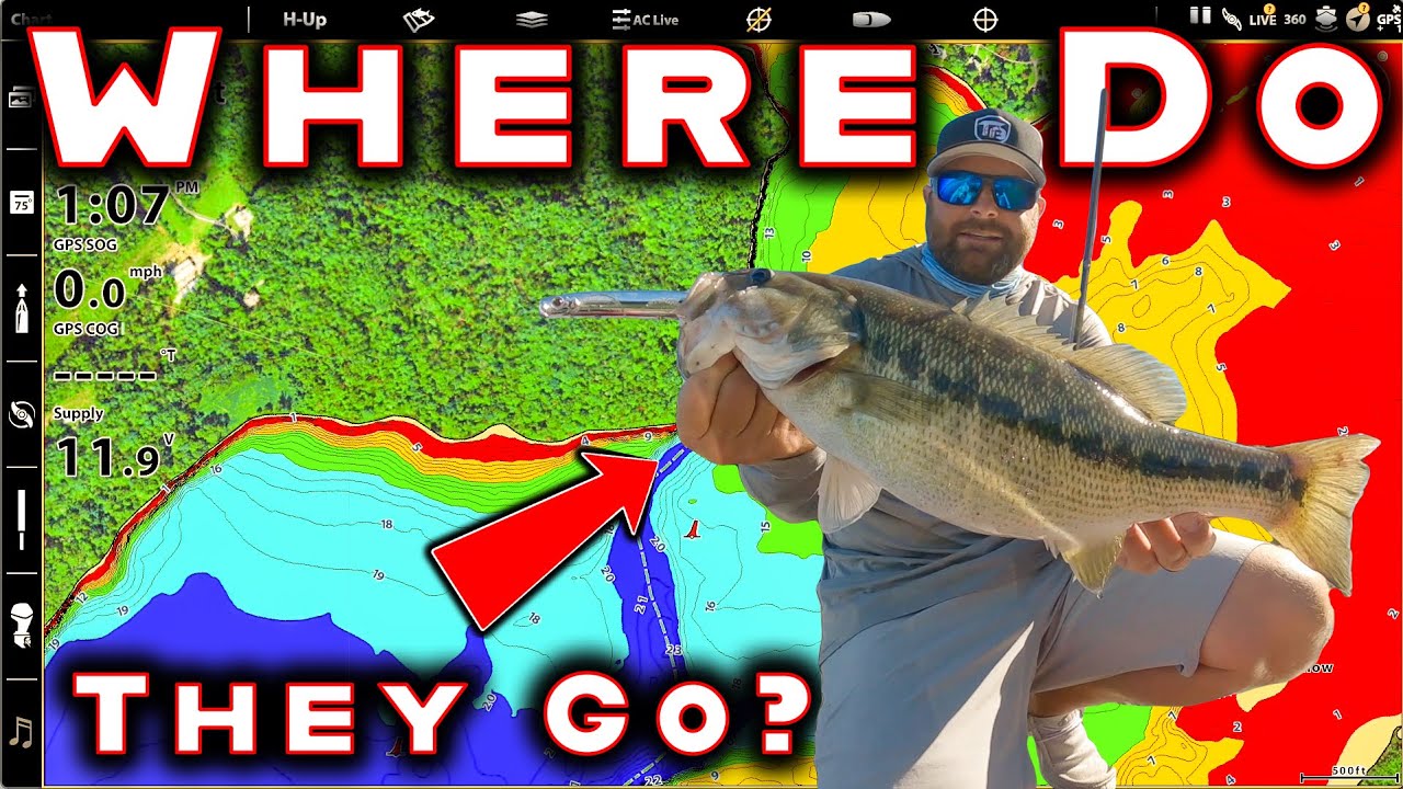 Fall Bass Fishing! Full Day On The Water! 