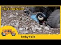 Zerby Derby |🏎️| ZERBY DERBY FAILS |⭐️| Season 3 | Best Zerby Derby Fails | Clip Compilation