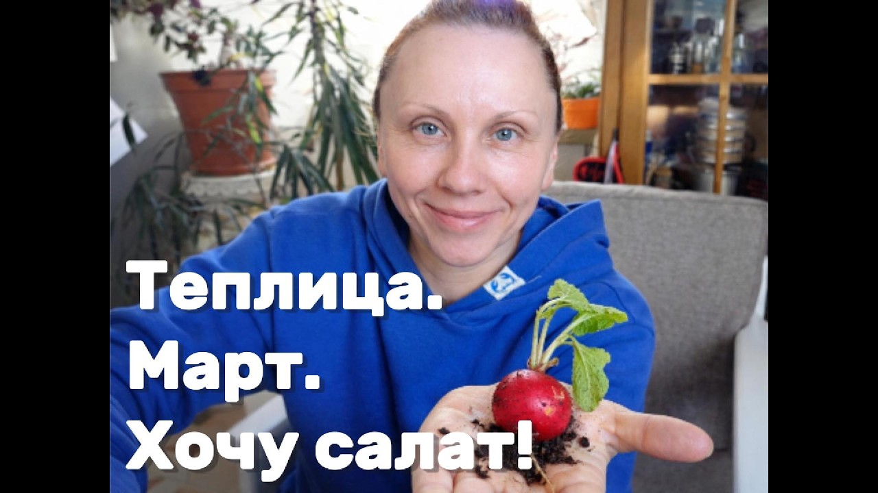 Теплица. Март. Хочу салат!